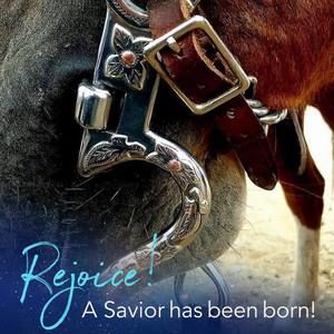 Meet your Posher, Lance